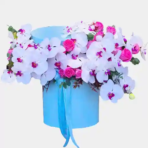 باکس گل لاکچری سمر کد 14013035