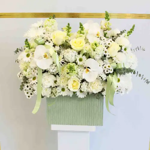 باکس گل روژین کد 2001801