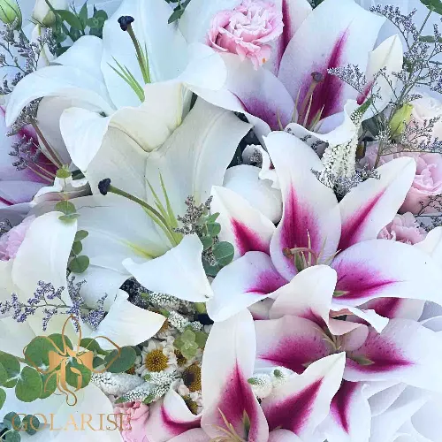 دسته گل باشکوه لیلیوم اورینتال بزرگمهر کد 1002104