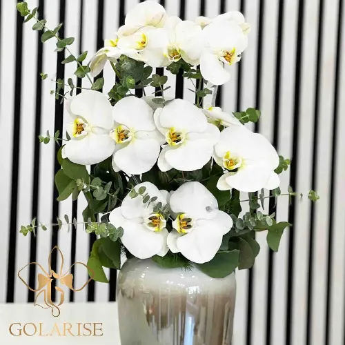 جام گل کاترین کد 1201004