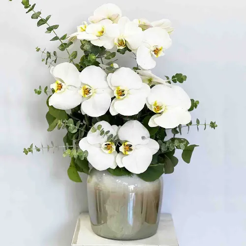 جام گل کاترین کد 1201004