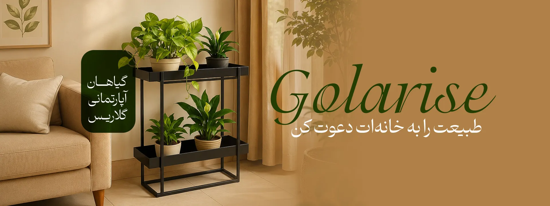 گل آپارتمانی