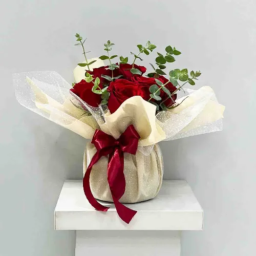 جارگل فیونا کد 15010036