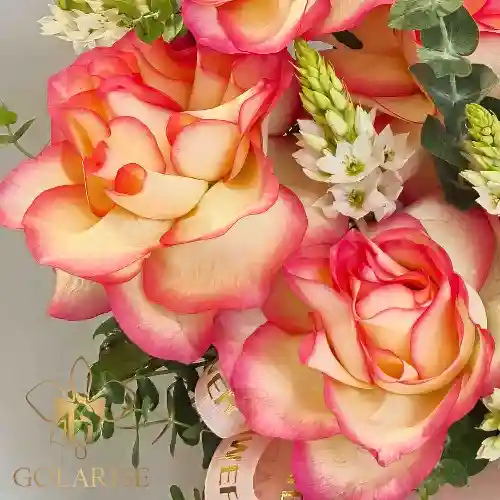 باکس گل رز برکه کد 14010014