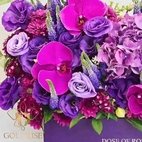 باکس گل گلارین کد 20018023